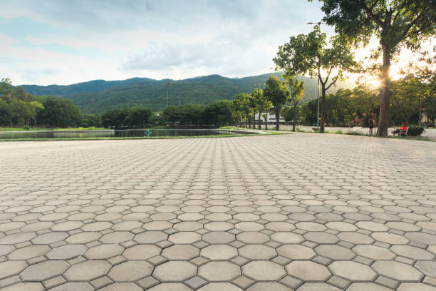 Best Residential Paver Driveway  in Patton Village, TX