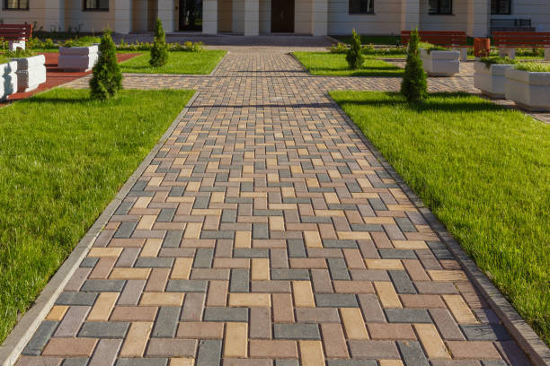 Best Driveway Pavers Near Me  in Patton Village, TX